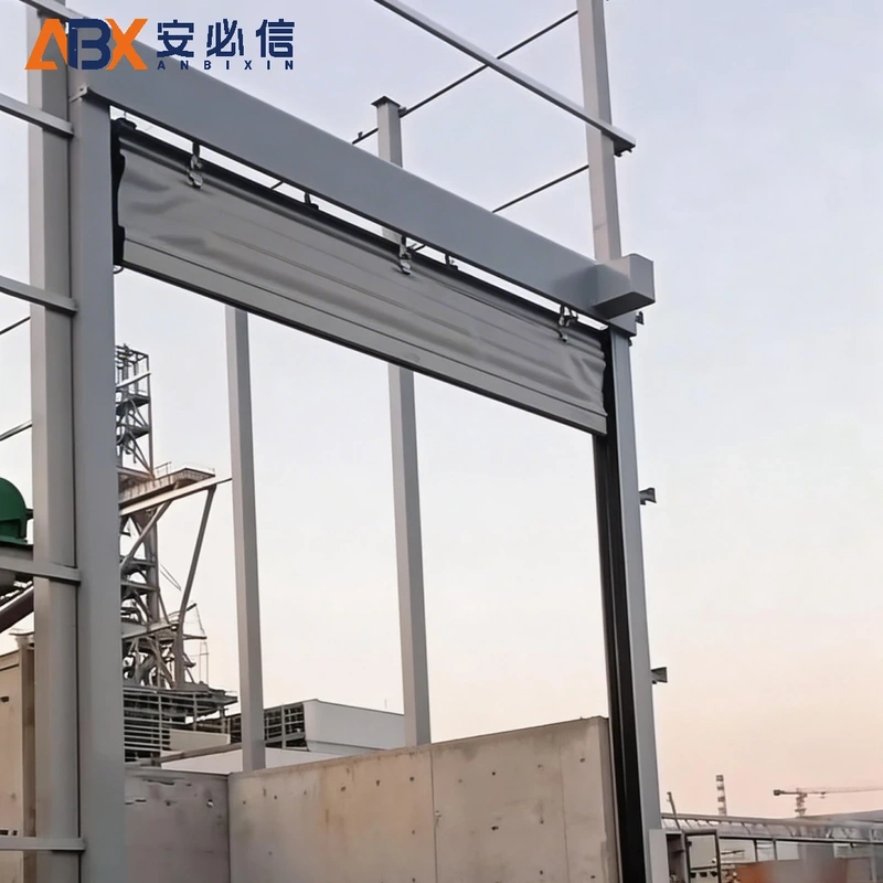 阿里地区机械式门封